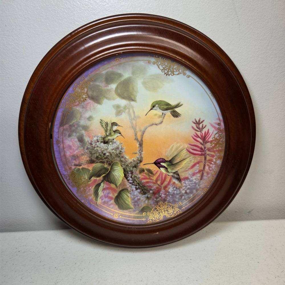Bradford Exchange Miniature Glory Hummingbird Collector Plate Framed 1994
